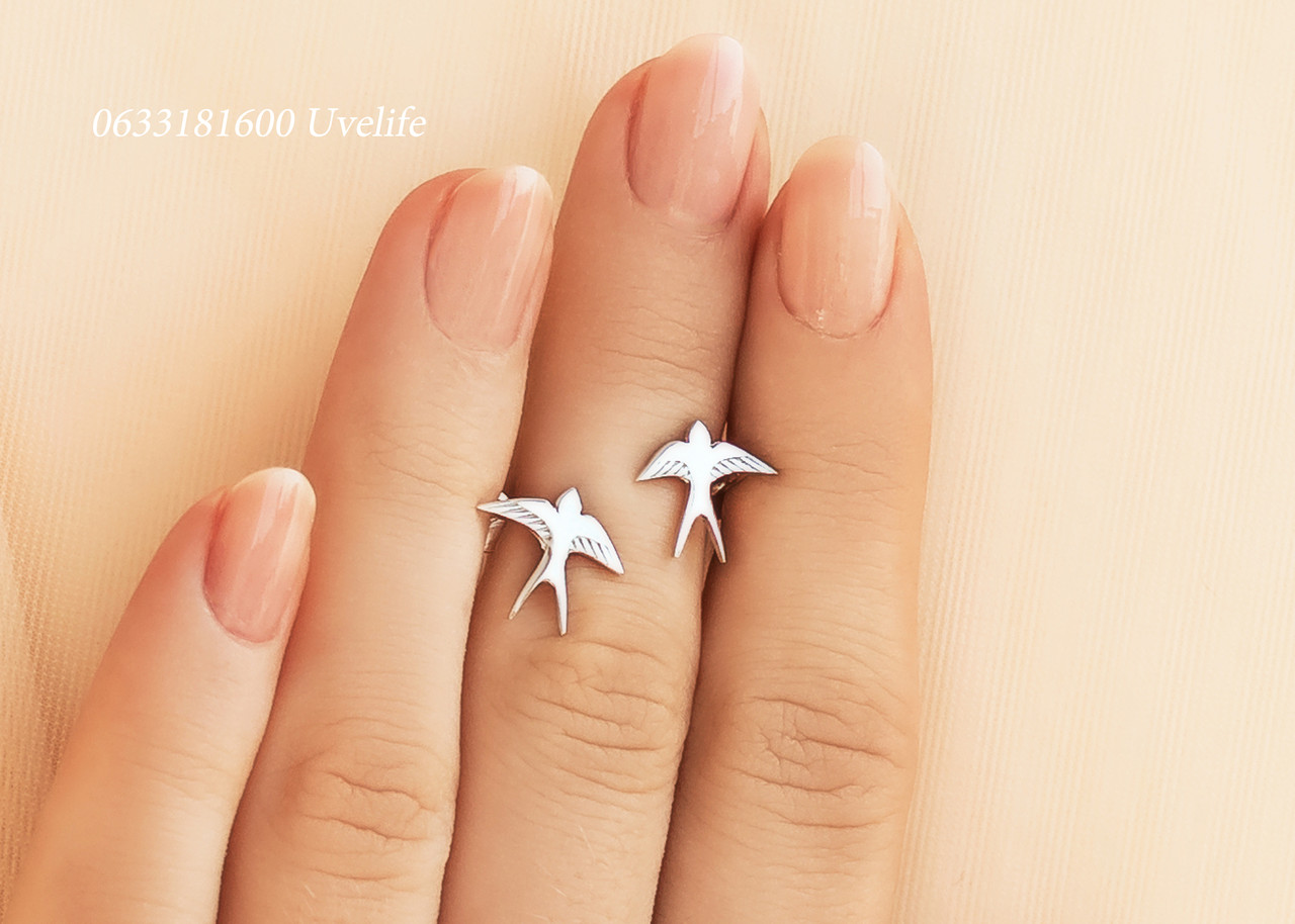 Срібні Гвоздики Ластівки, фото 1