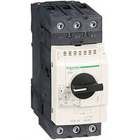 Автомат для защиты двигателя 65А GV3P65 Schneider Electric