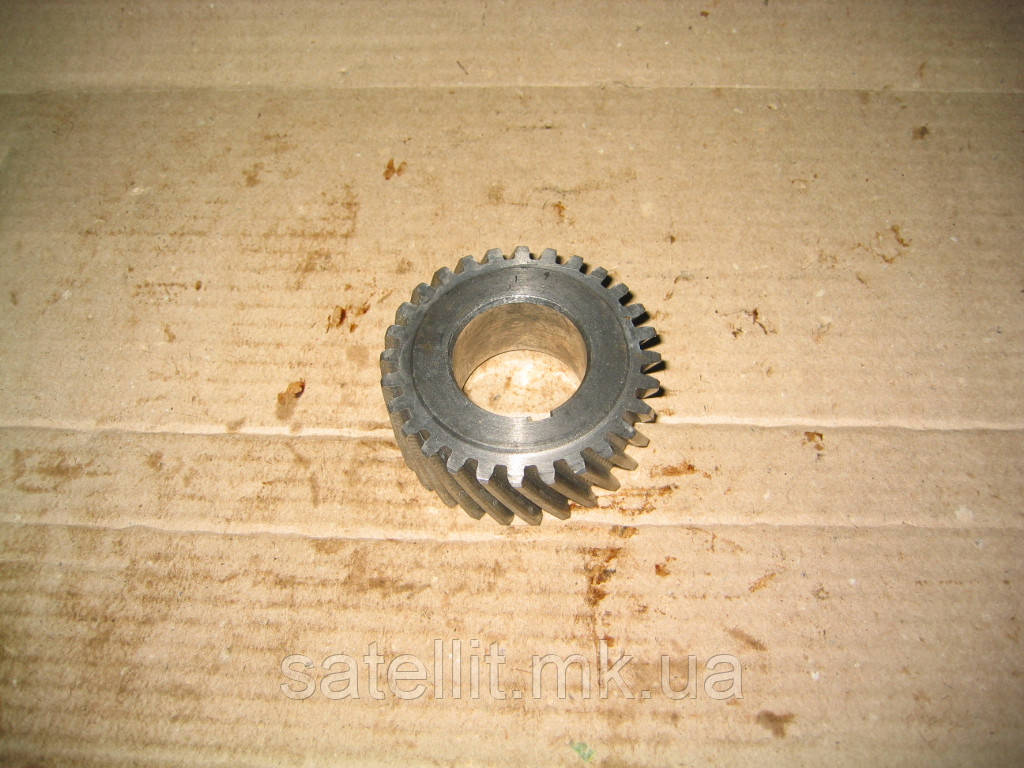 Шестірня колінвала ГАЗ — 24, 52, УАЗ, 24-1005031, фото 1