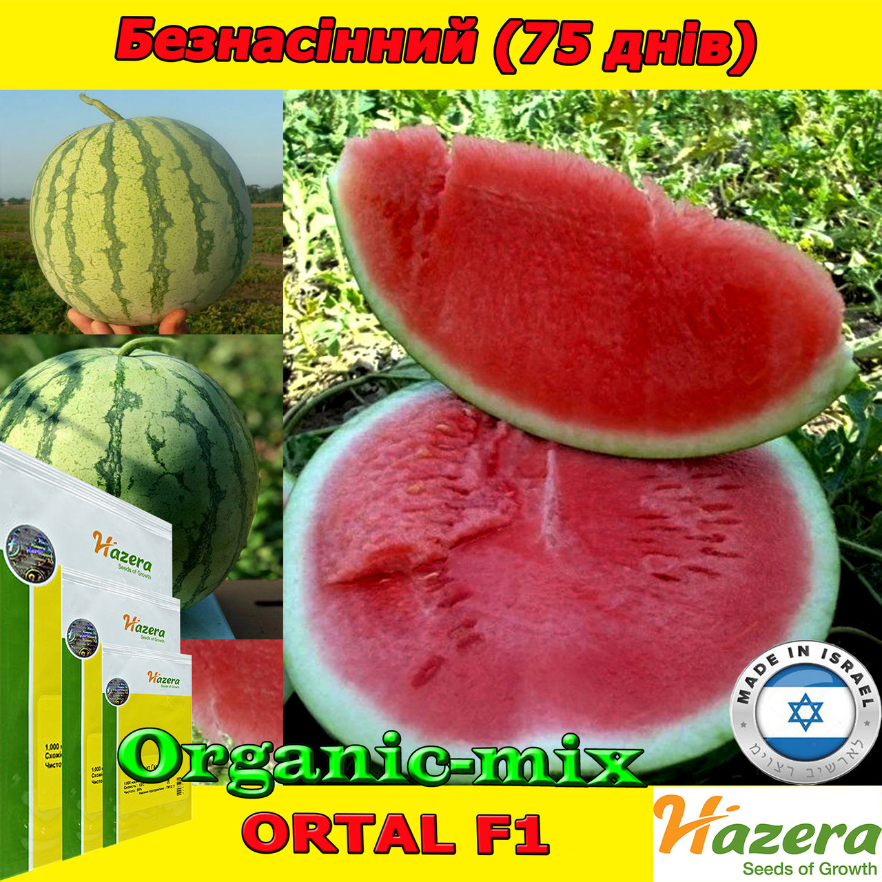 Насіння, кавун безнасінєвий (без кісточок), ОРТАЛ F1, ТМ Нazera (Голландія) проф. пакет 500 насінин, фото 1