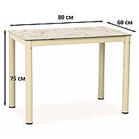 Маленький кремовий стіл Damar 80х60см для кухні з малюнком на металевих ніжках Signal Польща