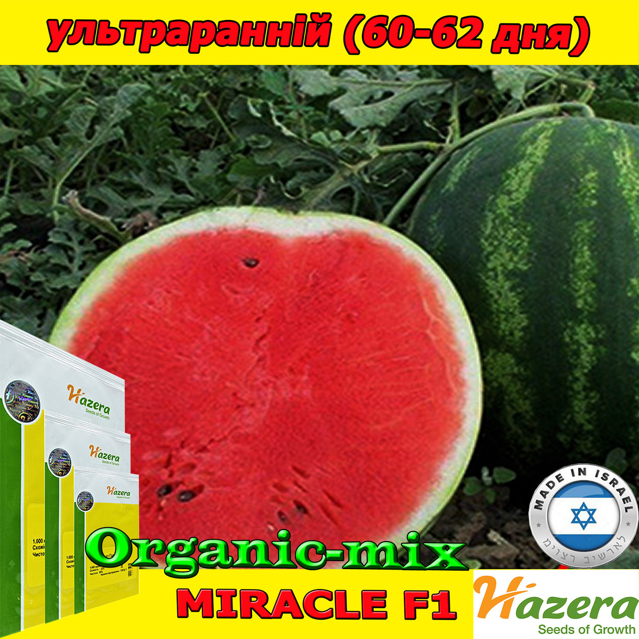 Насіння, кавун МІРАКЛ F1 / MIRACLE F1 ТМ Hazera (Ізраїль), 1000 насінин, фото 1