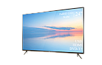 Сучасний телевізор TCL 24" FullHD+DVB-T2+USB, фото 3