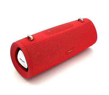 Колонка Bluetooth ZEALOT S38 Red