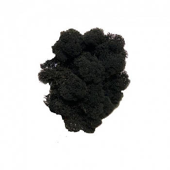 Стабілізований мох Чорний Ягель Норвезький 100 г Green Ecco Mos