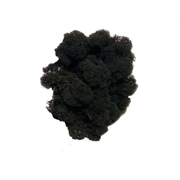 Стабілізований мох Чорний Ягель Норвезький 500 г Green Ecco Mos