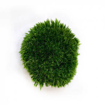 Стабілізований мох Прованс Королівський 100 г Green Ecco Moss