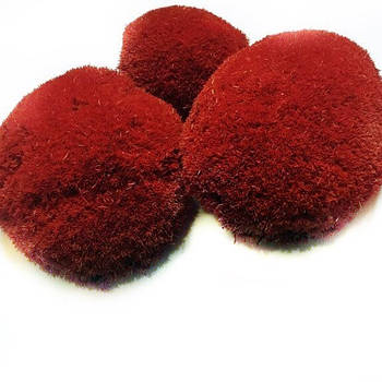 Стабілізований мох Кенька Червона 1 кг Green Ecco Moss