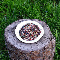 Суміш кіноа: біла, червона, чорна