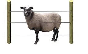 Загорода електрична (електропастух) для овець
