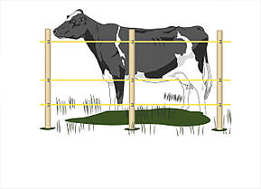 Комплект електричного огорожі для корів