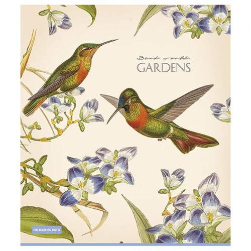 Зошит А5 Gardens Школярик 60 аркушів (060-2537L), фото 1