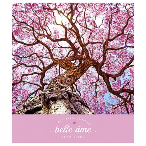 Зошит А5 Belle ame Школярик 96 аркушів (096-2615К)