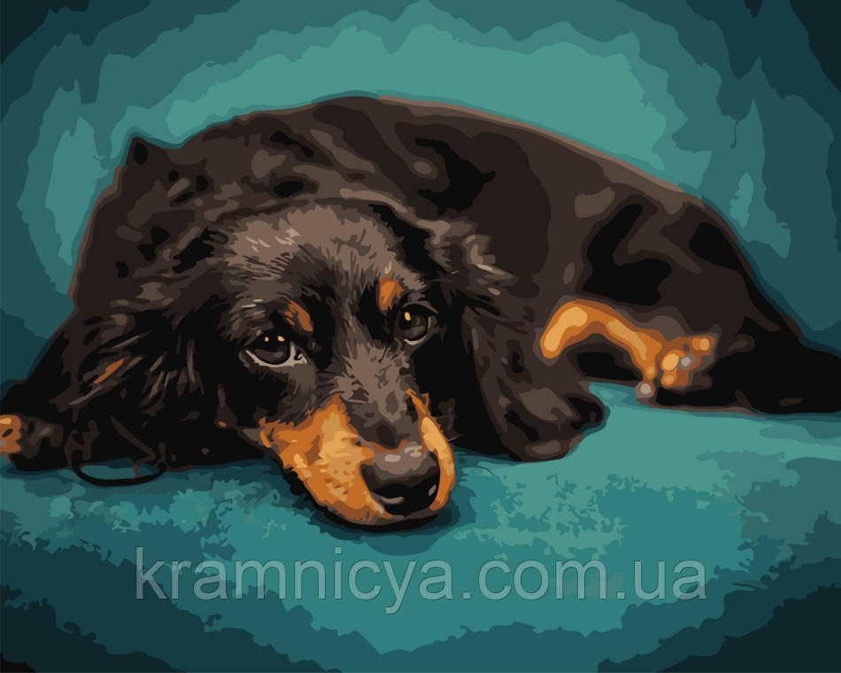 Картина за номерами В очікуванні господаря, ArtStory 40x50 (AS0726), фото 1