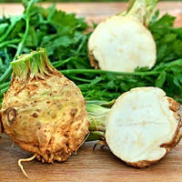 Селера коренева "Діамант" (насіння 100 шт)