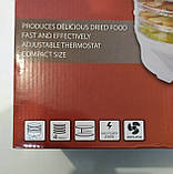 Нова компактна сушарка для фруктів Esperanza EKD003 з Європи з гарантією, фото 8