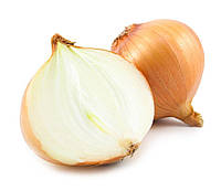 Лук севок желтый Штутти TOP Onions Нидерланди