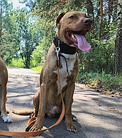 Широкий шкіряний нашийник "Lockdog" ширина 7 см