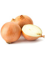 Лук севок Голиат желтый длинный 8-16 мм TOP Onions Голландия