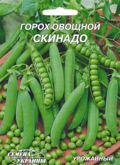 Насіння гороху Скинадо, середньопізній, 20 р, "Насіння України", Україна, фото 2