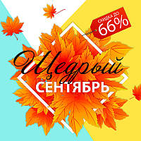 Акції Parketti у вересні