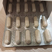 Капсули "Канглі" Тяші (ISOFLAVONAS) (для жінок і чоловіків), канлі, 60 капс, фото 4