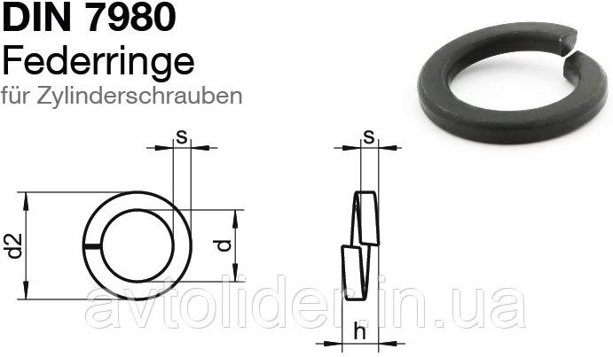 DIN 7980 : Стопорна шайба для гвинтів з напівкруглою головкою. нержавіюча сталь - фото 2 - id-p28014949