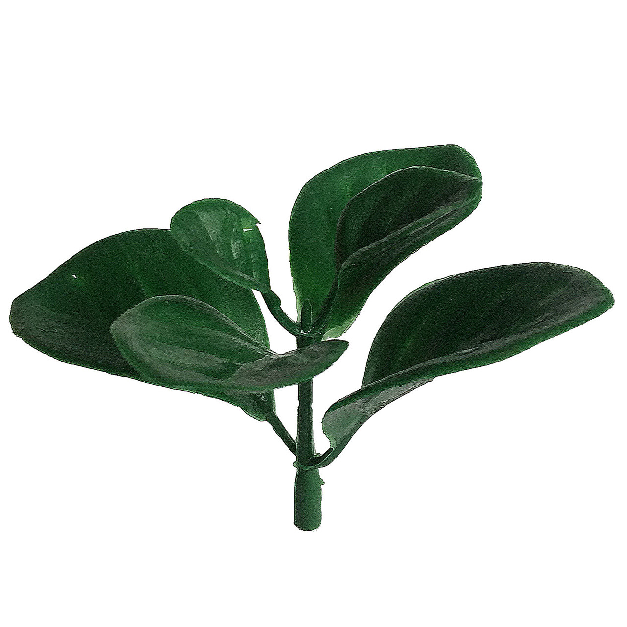 Домішка самшит густий зелений 7.5 см (50 шт. в уп.), фото 1