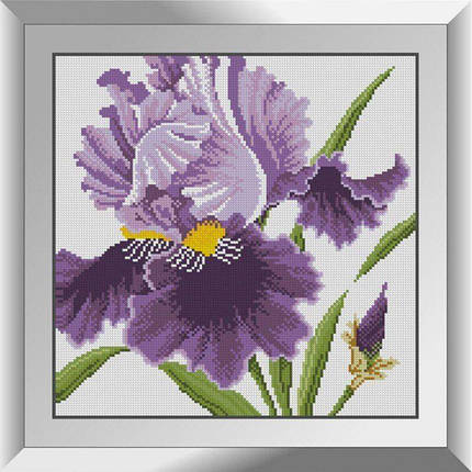 31603 Ірис Набір алмазної мозаїки, фото 1