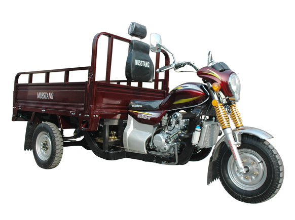 Трицикл грузовой Omaks sy200zh e