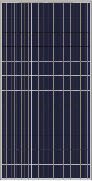 Сонячна батарея Yingli Solar YL335P12B-35b