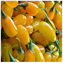 Годжі Амбер Світ 2 роки