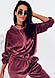 Жіночий модний костюм з оксамиту з капюшоном, фото 3
