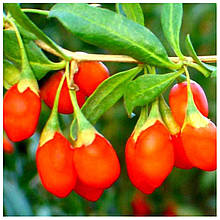 Годжі Суперфрут 2 роки