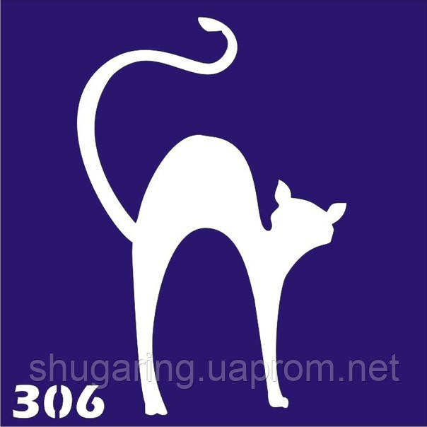 Трафарет для Біо Тату 6*6 306