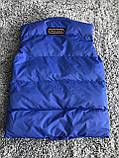 Чоловічий жилет Canada Goose M513 синій L, XL, фото 2