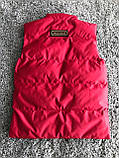 Чоловічий жилет Canada Goose M514 червоний L, фото 2