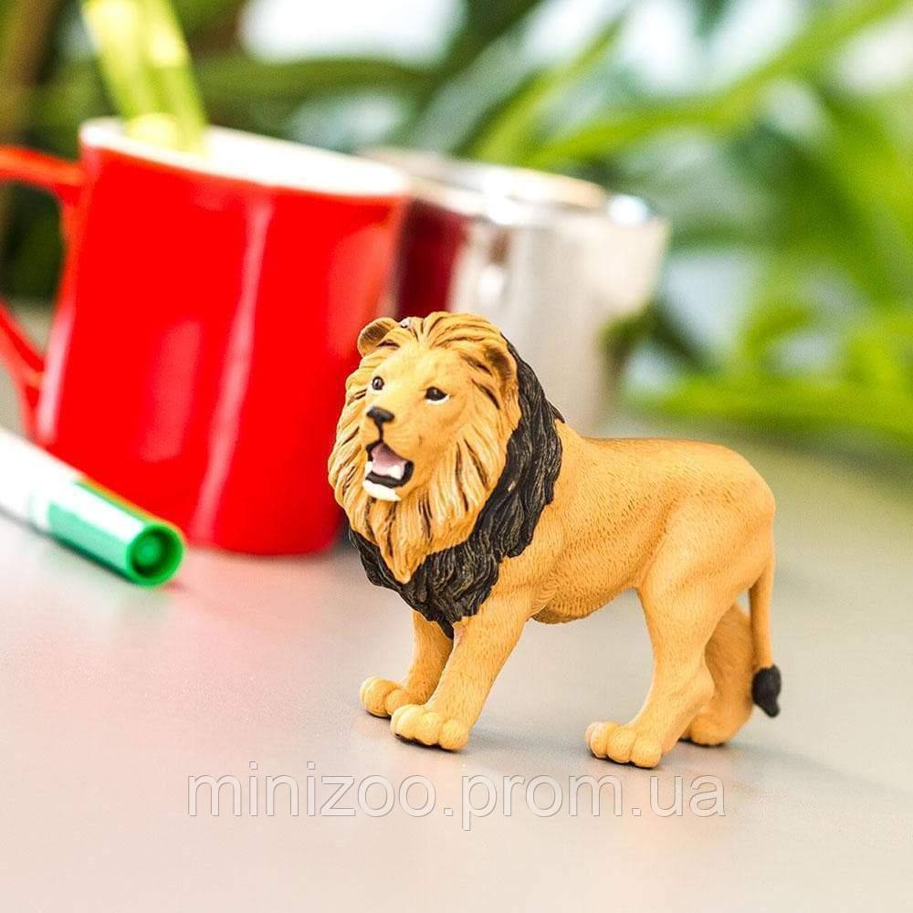 Safari hotsell ltd lion