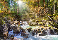 Пазлы на 2000 элементов (92 x 68 см) Лесной ручей (природа, пейзаж. лес), (Castorland, Польша)