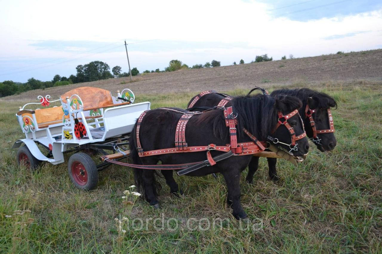 Упряж на пони шкіряна, фото 1