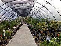 Вибір якісної теплиці: якою вона має бути