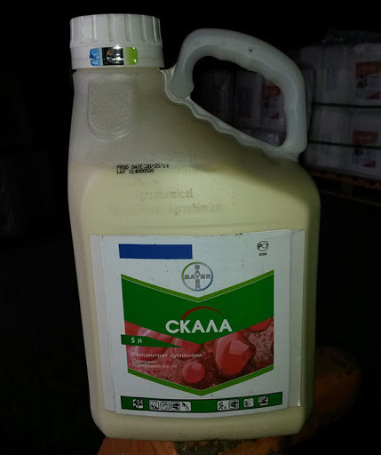 Фунгіцид СКАЛА 3л.