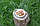 Асорті сирих горіхів (мигдаль, кешью, фундук, волоський горіх, ядро фісташки), фото 4