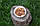 Асорті сирих горіхів (мигдаль, кешью, фундук, волоський горіх), фото 9