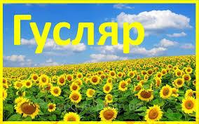 Насіння Соняшнику ГУСЛЯР (Екстра), фото 1