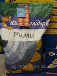 Насіння соняшнику РІМІ (Екстра), A-Е Юг Агролідер, фото 1