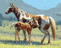 Картина по номерам Лошадь с жеребенком (BRM4365) 40 х 50 см