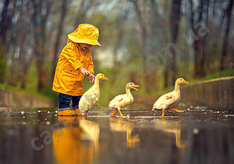 Пазлы на 500 элементов (47 х 33 см) Дождливый день, друзья (Castorland, Польша)