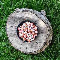 Фасоль червона шапка