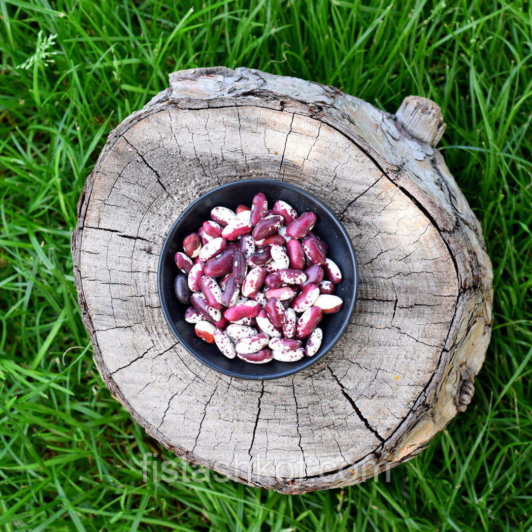 Квасоля Ластівка